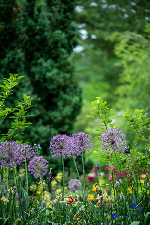 Garden staging web
